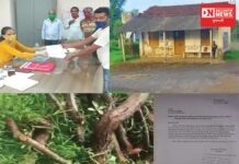 બામણવાડા ગામની ગોચર જમીનમાં ઉગેલા બાવળના ઝાડો વેચી સરપંચે પોતાના ખિસ્સા ભર્યા