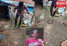 મહુવાના અનાવલ ગામમાં સર્પદંશથી એક મહિલાનું થયું મોત