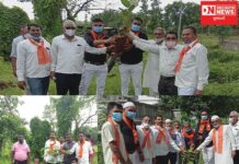 કપરાડા તાલુકાના નાનાપોઢાં શ્યામા પ્રસાદ મુખરજીના જન્મજયંતિ નીમિત્તે વૃક્ષારોપણ કરાયું