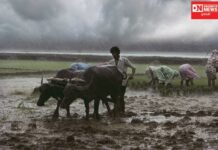 ધરમપુરમાં થોડા દિવસના વિરામ બાદ વરસાદ આછો ફર્યો..ખેડૂતોમાં ખુશીનો માહોલ