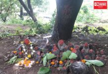 વાંસદામાં આદિવાસી સમાજના લોકોએ ભેગા મળી પરંપરા મુજબ કરી હવાન વિધિ !