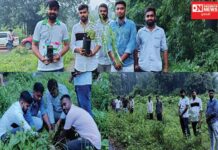 જન્મ દિવસે પાર્ટી કલ્ચરના યુગમા વૃક્ષારોપણ દિવસ બનાવી યુવા નેતાએ નવી દિશા ચીંધી