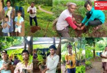 ધરમપુરમાં આમી આદિવાસી ગ્રુપના સભ્યો દ્વારા રોપા વિતરણ સાથે વૃક્ષારોપણ