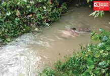 પારડીના પરીયા ગામના યુવાને માછલી પકડવામાં પ્રાણ ખોયા