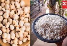 વરસાદી વાતાવરણ વચ્ચે આદિલોકમાં ઓટલે બેસી ખવાતું જુવારનું દેશી પોતીકું પોપકોર્ન