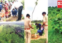 દાનહમાં વનવિભાગ દ્વારા સ્થાનિક ગ્રામ્ય વિસ્તારના ૩૦૦ હેક્ટરમાં 4.80 લાખના વૃક્ષોનું થયું વાવેતર