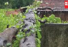 જાણો: ક્યાંના બાળકો પાસેથી છીનવી મેઘરાજાએ ‘માં’ ની મમતા !