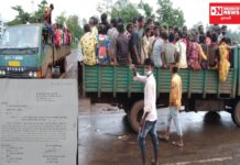 ડાંગના વનવિભાગના સ્ટાફના બે અધિકારીઓની ભૂલ હોવા છતાં ખુલ્લી દાદાગીરી : BTP