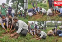 શ્રીમદ્ રાજચંદ્ર મિશન ધરમપુર દ્વારા બીલપુડી ગામમાં વૃક્ષારોપણ