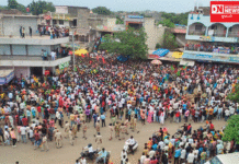 ડેડીયાપાડામાં BTS અને BTTSના સંયુક્ત ઉપક્રમે વિશ્વ આદિવાસી દિવસની ઉજવણી