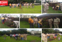 પ્રાથમિક આરોગ્ય કેન્દ્ર પીંપરી ખાતે વનવિભાગ અને ગ્રામજનોઓએ સાથે મળી કર્યું વૃક્ષારોપણ