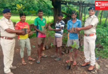 કપરાડાના ટુંકવાડા ગામમાં ફોરેસ્ટ ડિપાર્ટમેન્ટ દ્વારા વાડી પ્રોજેક્ટ હેઠળ આંબા અને કાજુ કમલ વિતરણ