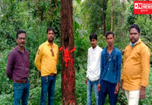 સમાજના પહેરી ગણાતા પત્રકારોએ વૃક્ષોને રાખડી બાંધી મનાવી રક્ષાબંધન