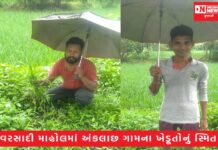 વાંસદામાં મેઘમહેરના પગલે ધરતીપુત્રોમાં ખુશી..