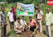 વાંસદામાં વનીકરણ વિભાગ દ્વારા ૭૨માં ગ્રામ્યકક્ષાએ વન મહોત્સવની થઇ ઉજવણી