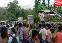 ડાંગના નડગખાદી ગામમાં આર્ટિકા ગાડી વિજપોલ સાથે અથડાતા ગંભીર અકસ્માત