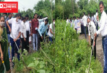 પ્રધાનમંત્રીના જન્મદિન નિમિત્તે મોટાપોંઢા ગામના તળાવ કિનારે સ્વચ્છતા અભિયાન