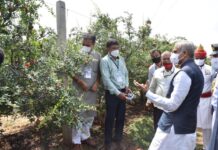 રાજ્યપાલ આચાર્ય દેવવ્રતે ભચાઉ તાલુકામાં સુભાષ પાલેકર પ્રાકૃતિક કૃષિ વિષયક કાર્યક્રમ રહ્યા ઉપસ્થિત