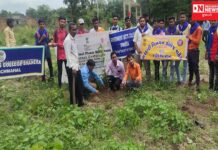 શહેરાની કોલેજમાં ગ્રીન એન્ડ કલીન કેમ્પસ ક્લબ અંતર્ગત ધ્વનિ એજ્યુકેશન એન્ડ ચેરીટેબલ ટ્રસ્ટના સહયોગથી વૃક્ષારોપણ