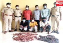 દાદરા નગર હવેલી સંતાન કંપનીમાં કોપર વાયરની ચોરીના 6 આરોપીની કરી ધરપકડ