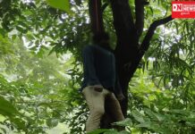 વાંસદાના અંકલાછ અજાણ્યા વ્યક્તિની ગળેફાંસો ખાધેલી હાલતમાં મળી લાશ !