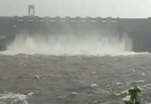 વલસાડ: ભારે વરસાદને પગલે મધુબન ડેમના 7 દરવાજા ખોલાયા, વહીવટી તંત્રની થયું એલર્ટ