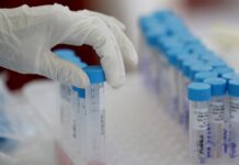 ભારતમાં છેલ્લા 24 કલાકમાં કોરોનાના 14,146 નવા કેસ નોંધાયા