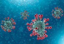 ભારતમાં છેલ્લા 24 કલાકમાં કોરોનાના 16,862 નવા કેસ નોંધાયા