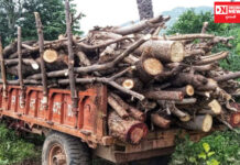 વાંસદા-ચીખલીમાં પાસ પરમીટ વગર લાકડાનો વેપાર કરનારાઓ સામે વન વિભાગ ક્યારે આવશે એક્શનના મુડમાં: લોકચર્ચા