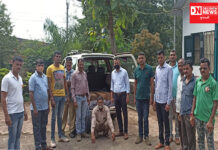 આહવામાં લાકડા ચોરીમાં પકડાયેલી ટાવેરા જાણો: ડોનના કયા રાજકીય નેતાની હોવાની લોકચર્ચા..