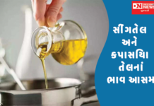 પેટ્રોલ-ડીઝલ બાદ હવે સિંગતેલ અને કપાસિયા તેલનાં ભાવ આસમાને પહોંચ્યા