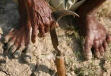 જાણો: કયા રાજ્યએ કેટલા રૂપિયાનું કર્યું વરસાદથી અસરગ્રસ્ત થયેલા ખેડૂતો માટે પેકેજ જાહેર