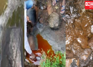 કપરાડામાં કેમિકલ વેસ્ટ ઠાલવવામાં કંપની મેનેજર સાથે અન્ય 4ની કરાઈ ધરપકડ