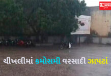 મોસમનો બદલાયો મિજાજ, નવસારી જિલ્લાના અનેક વિસ્તારોમાં વરસાદી ઝાપટાં..