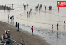 ભાઈબીજના તહેવારે તિથલ બીચ પર લોકોની ભીડ ઉમટયાના જોવા મળ્યા દ્રશ્યો !