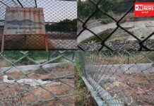 નર્મદા જિલ્લા કેવડીયા રેન્જની ઘોર બેદરકારી થી ૬ મગરના જીવ જોખમમાં..