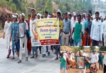 કપરાડા સુથારપાડામાં જનનાયક- ધરતી આબા બિરસા મૂંડાની ઉજવાઈ જન્મજયંતી