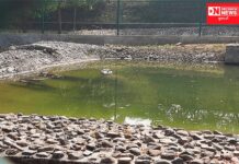 ગરૂડેશ્વર તાલુકામાં કેવડીયા રેંજના અધિકારીઓ આવ્યા હરકતમાં, તળાવોમાં ભર્યું પાણી