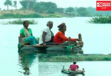 છોટાઉદેપુરમાં વિકાસના મોટા મોટા દાવા કરતી સરકારના ગાલ પર તમાચો મારતા સામે આવ્યા દ્રશ્યો..