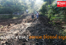 હાર પચાવી ન શકનાર સભ્યપદના ઉમેદવારે કર્યું ન કરવાનું કામ..