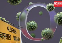 વલસાડમાં ઓમિક્રોન વેરીએન્ટ વાઇરસની થઇ શકે છે એન્ટ્રી.. શું છે કારણ જાણો !