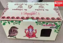 પક્ષી પ્રેમી યુવકએ પોતાના લગ્નને કેવી રીતે બનાવ્યું ખાસ: જાણો