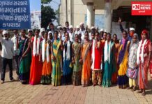 કપરાડા તાલુકામાં 85 ગામોમાંથી અત્યાર સુધીમાં કેટલી ગ્રામ પંચાયત થઇ સમરસ જાહેર !