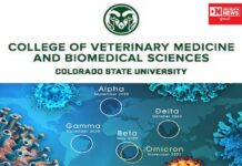 કોરોના વાયરસના નવા વેરિએન્ટ ઓમિક્રોન શું છે ? તેની ઉત્પતિ કેવી રીતે થઇ: જાણો