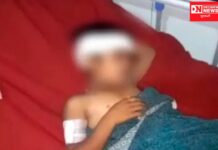 આ વખતે મરઘા કે બકરા નહિ પણ દીપડાએ કર્યો બાળક પર હુમલો: જાણો સમગ્ર ઘટના !