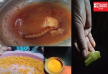 નસવાડીના લીંડા મોડલ રેસીડેન્સી સ્કૂલમાં ઈયડ અને જીવડા વાળુ ભોજન જમાડવાની બાબતે વિદ્યાર્થીઓની ફરિયાદ છતાં તંત્ર બન્યું આંધળું, બહેરું અને મૂંગું