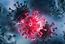 ભારતમાં 24 કલાકમાં કોરોનાના નવા 7,447 કેસ નોંધાયા