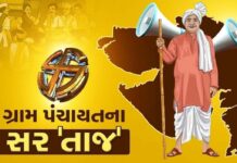 ચાલો.. બની ગઈ નવસારીના ગામડાઓમાં નવી સરકાર !
