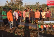 વાંસદાના કુકડા ગામમાં સ્થાનિક ખેડૂતો વચ્ચે ઉજવાયો કિસાન દિવસ !