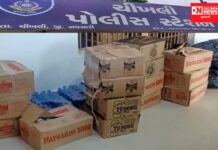 ચીખલી પોલીસે ફિલ્મી ઢબે પીછો કરી રૂ.13.10 લાખના દારૂ ઝડપ્યો પણ કાર ચાલક થયો ફરાર